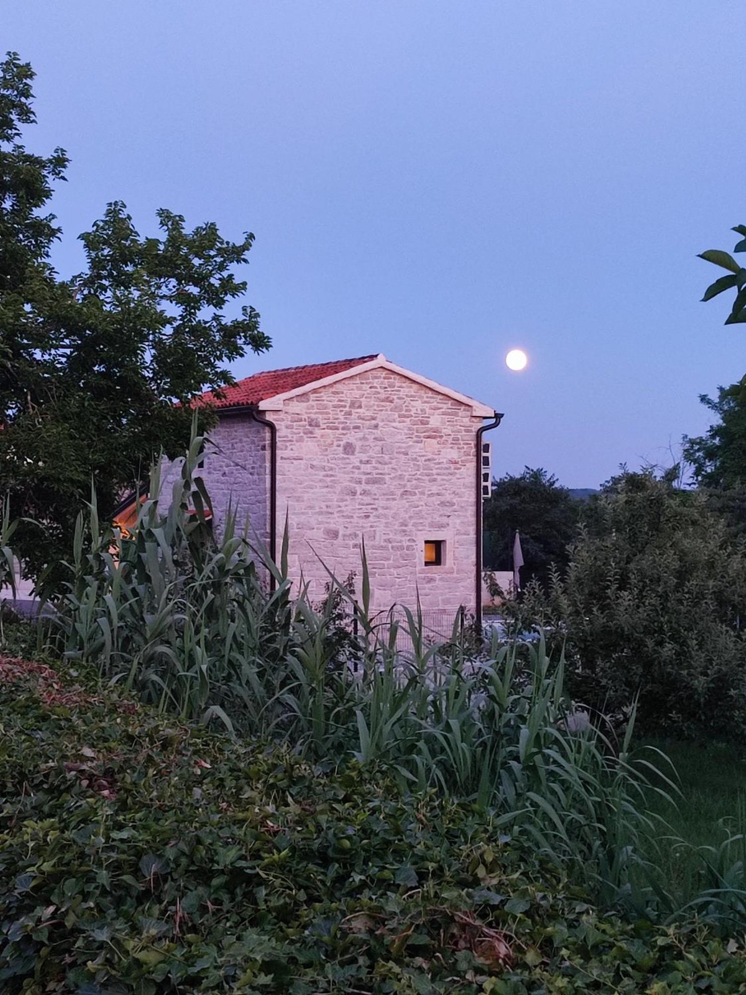 Villa Lita Pazin Exterior foto